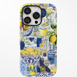 Amalfi Lemon Story